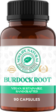 Burdock Root