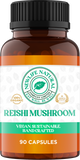 Reishi Mushroom